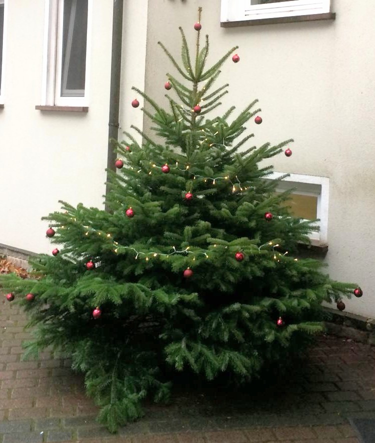 Krenzer Paletten Weihnachstbaum